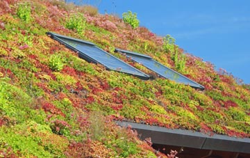 Sworton Heath living roof systems
